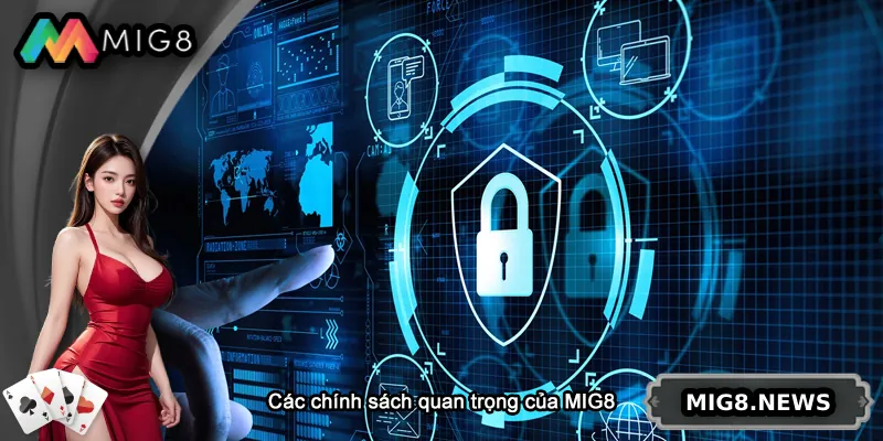 Các chính sách quan trọng tại MIG8